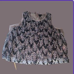 Torrid Silver Sequin Sleeveless Top